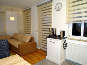 Einblick in den Wohn- und Küchenbereich der Ferienwohnung in Dresden Lockwitz