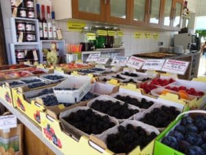 Ferienwohnung Dresden Lockwitz Gemüse und Obst zum Direktkauf