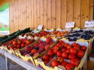 Ferienwohnung Dresden Lockwitz - Obst und Gemüse Regionaler Erzeuger