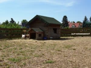 Ferienwohnung Dresden Lockwitz - Ziegen