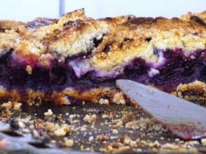 Ferienwohnung Dresden Lockwitz - selbstgebackener Heidelbeerkuchen